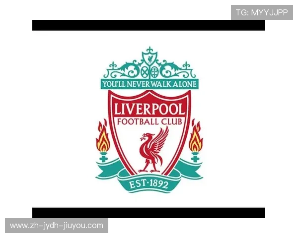 莱茵达集团收购英超球队的背景与发展